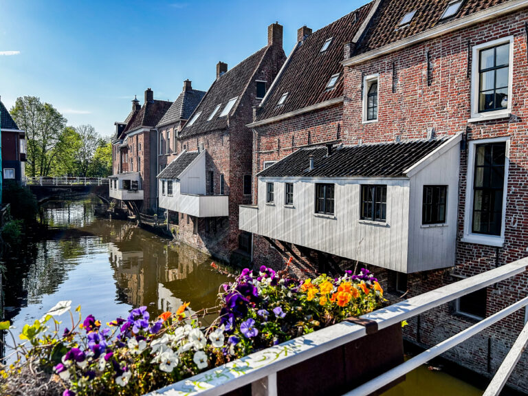 Damster wandelingen bestaat 1 jaar